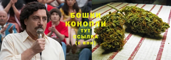 ПСИЛОЦИБИНОВЫЕ ГРИБЫ Алексин