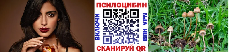 MEGA вход  Братск  Псилоцибиновые грибы ЛСД 