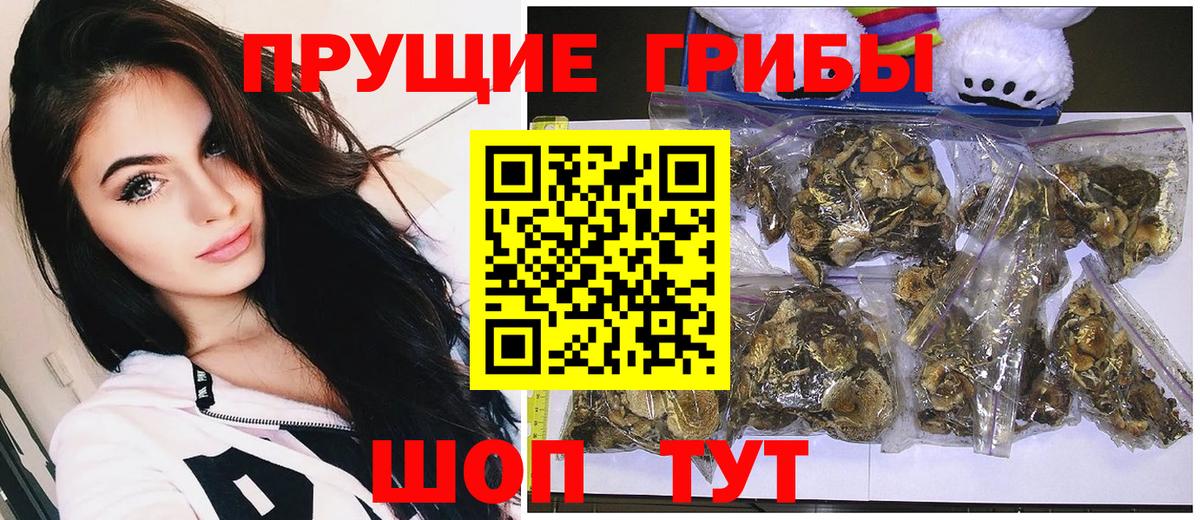 Братск  Галлюциногенные грибы MAGIC MUSHROOMS  Вход с VPN 